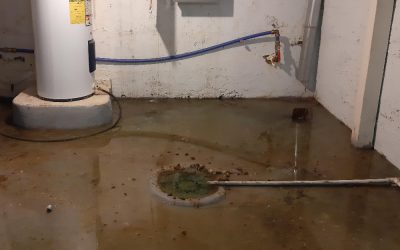 11 Telltale Signs That You Are Having Problems With Your Sewer Line…