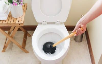 Uncovering the 8 Top Causes of Chronic Toilet Clogs and How to Fix Them…