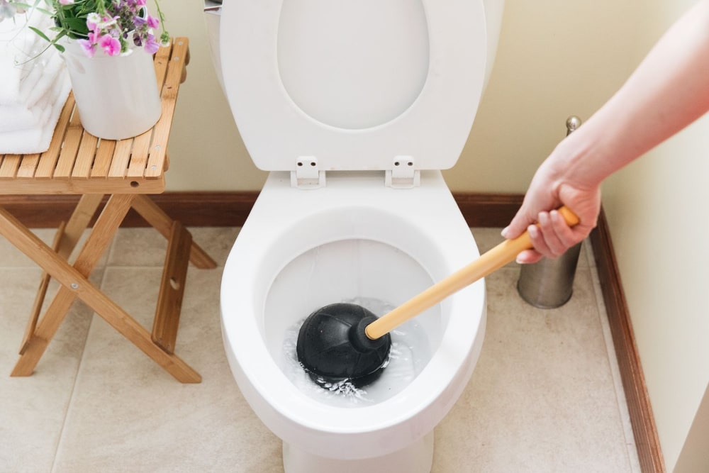 Uncovering the 8 Top Causes of Chronic Toilet Clogs and How to Fix Them…