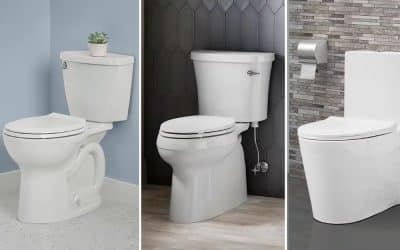 The Ultimate Guide For Choosing the Perfect Toilet for Your Home…