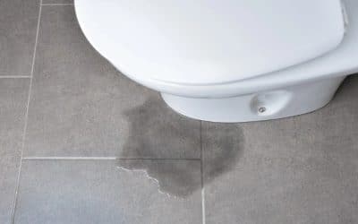 9 Warning Signs You Need Professional Toilet Repair in Northern Kentucky…