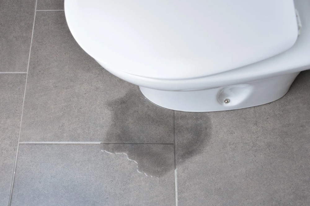 9 Warning Signs You Need Professional Toilet Repair in Northern Kentucky…